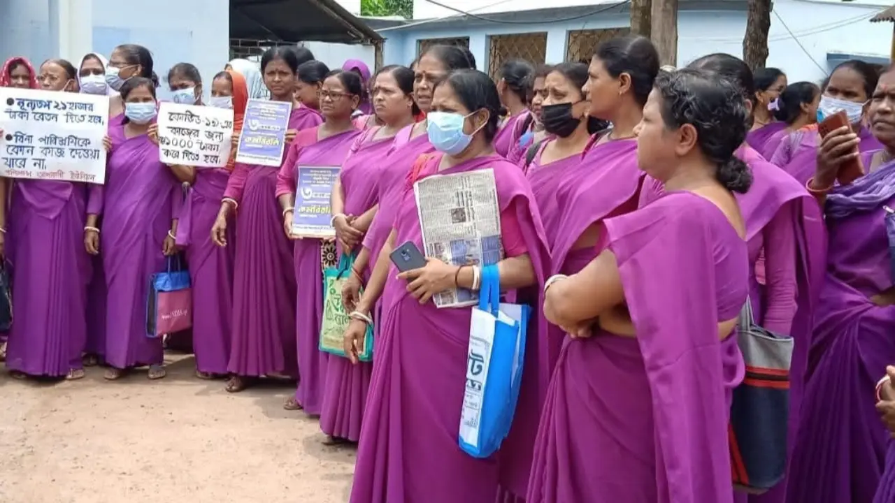 Nadia Zila Asha Vacancy 2025