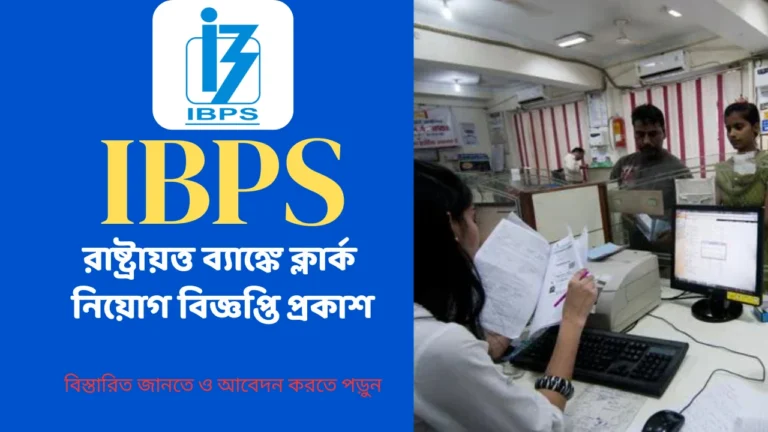 IBPS CRP CSA Clerks Vacancy 2025