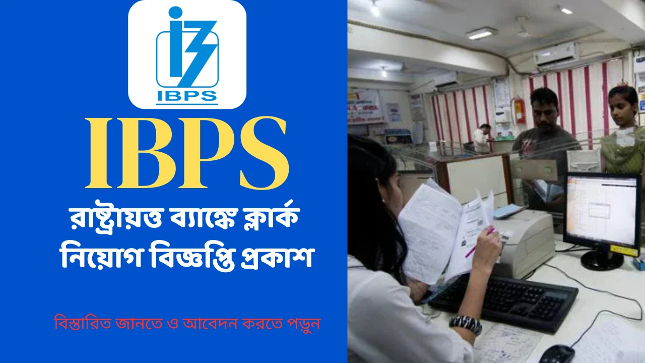 IBPS CRP CSA Clerks Vacancy 2025